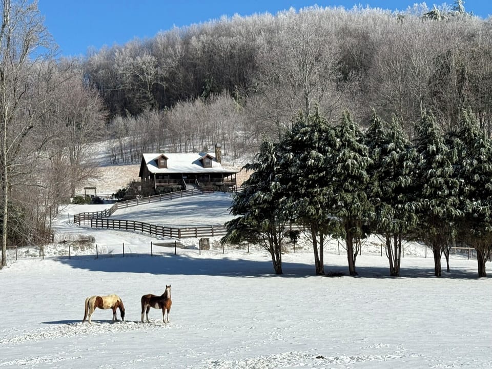 Snow 2026, front of house