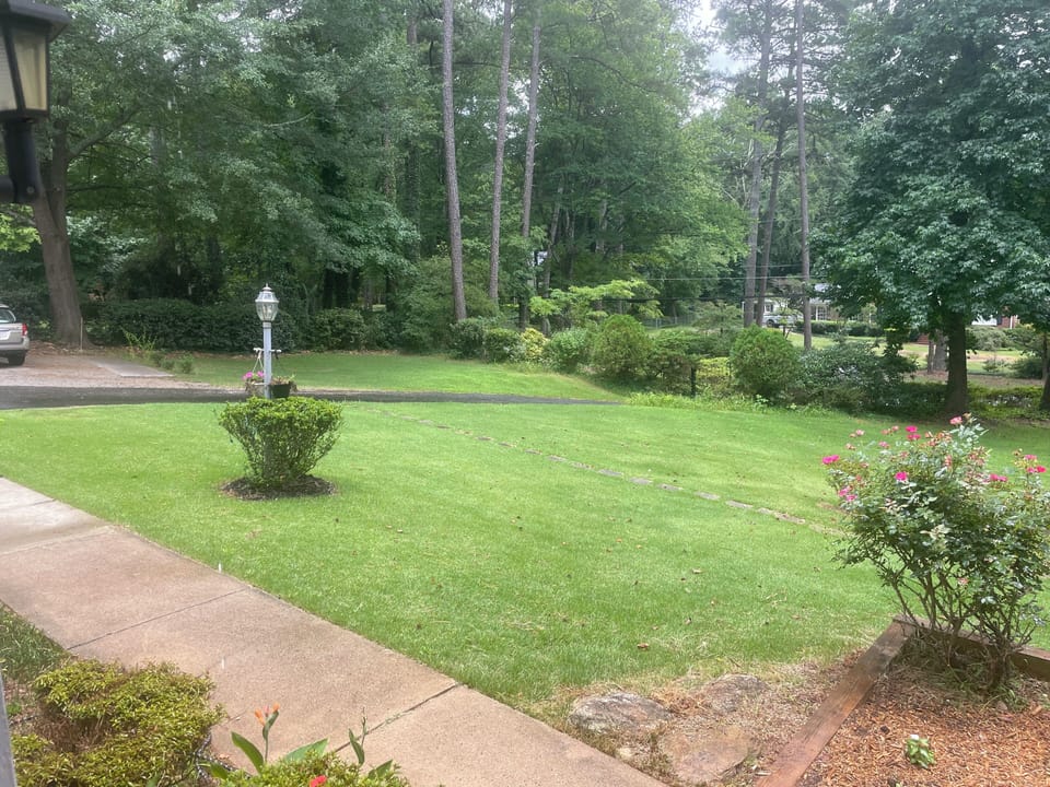 Front Garden