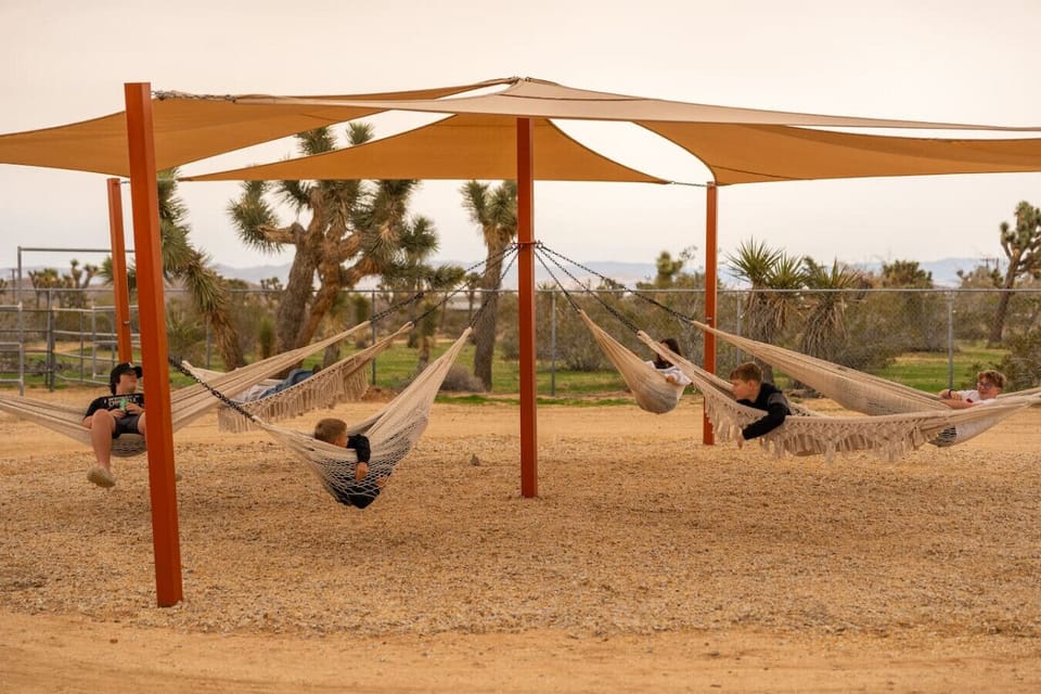 Sway into relaxation in the shaded hammock lounge, a peaceful spot to unwind after a day of Joshua Tree adventures.