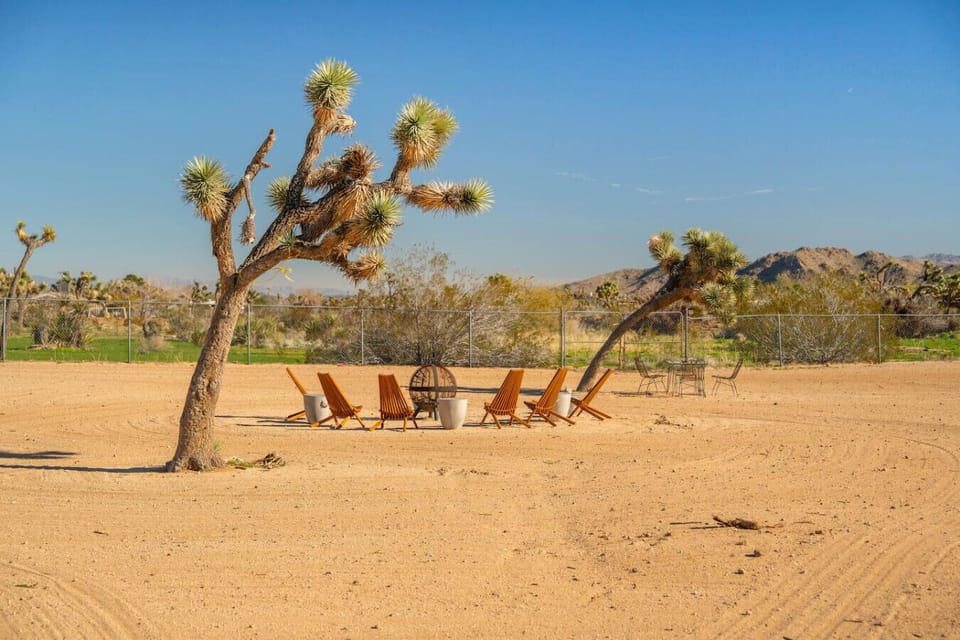 Gather around under the Joshua Tree
