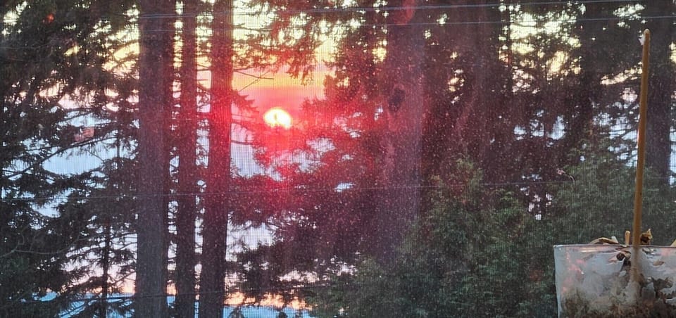 View from property