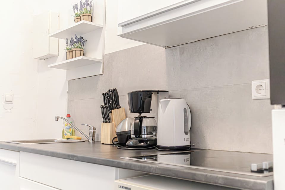 Basic Apartment | Private kitchen | Mini-fridge, oven, stovetop, cookware/dishes/utensils