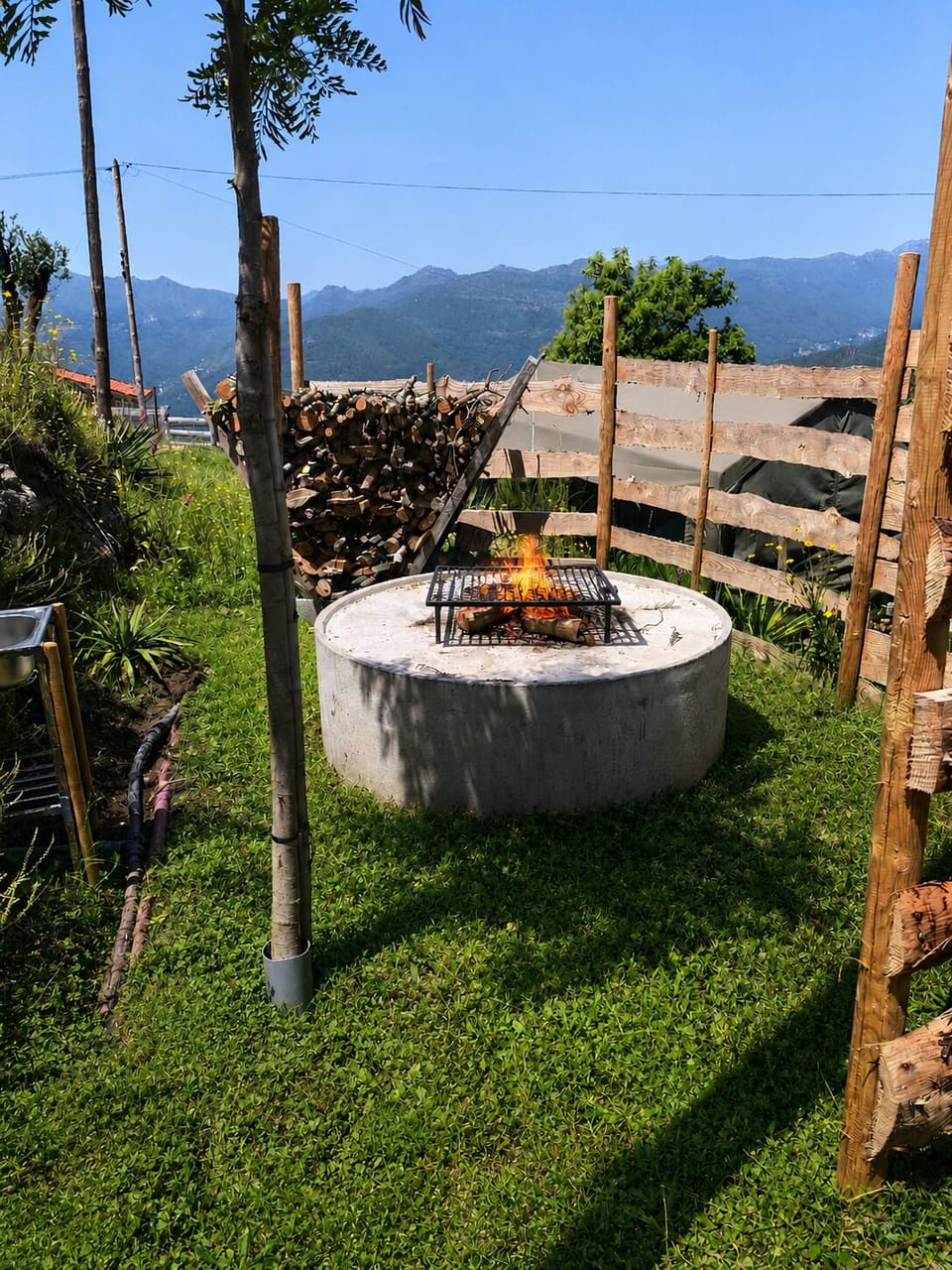 Barbeque