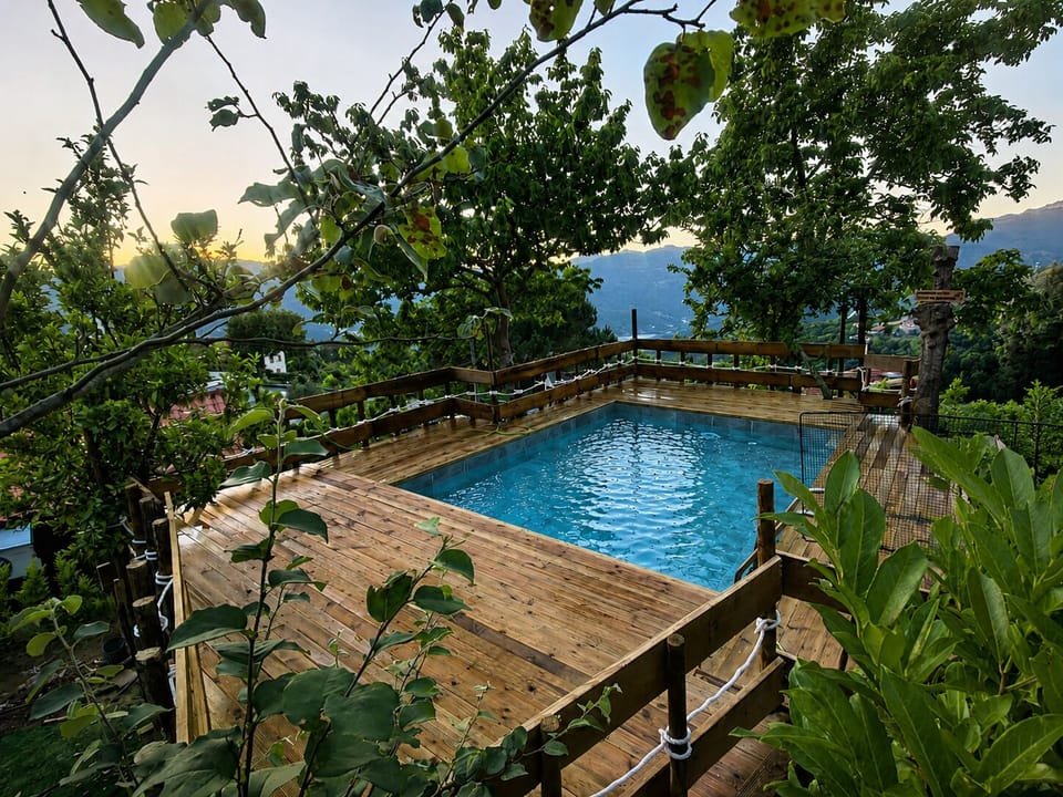 Adult pool