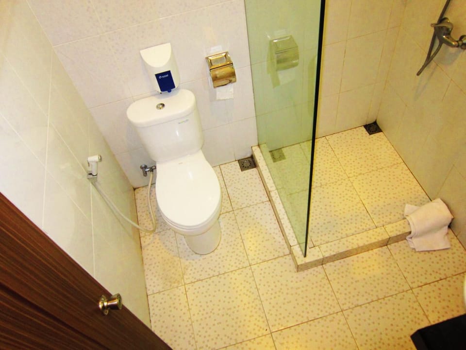 Shower, free toiletries, hair dryer, bathrobes