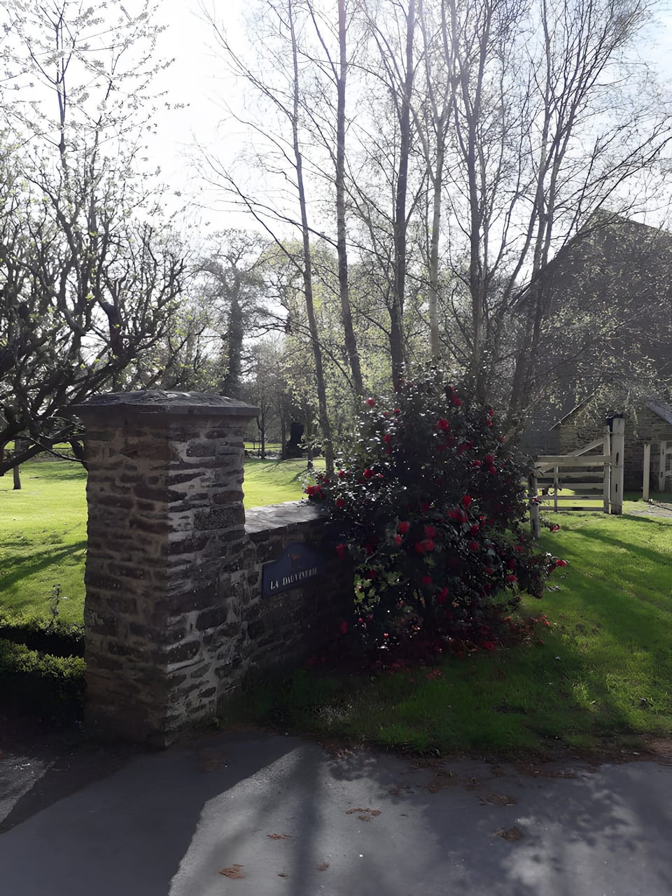 Property grounds