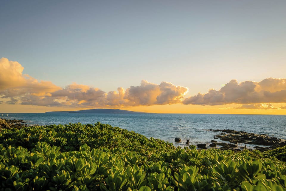 South Kihei Views