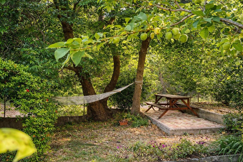 Peaceful garden corner with a picnic table under the trees - ideal for relaxing, reading, or enjoying meals outdoors surrounded by nature.