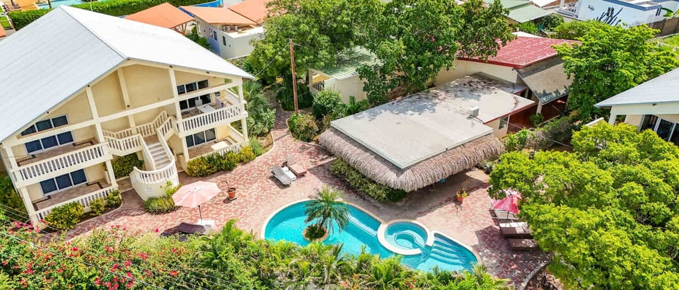 Top View