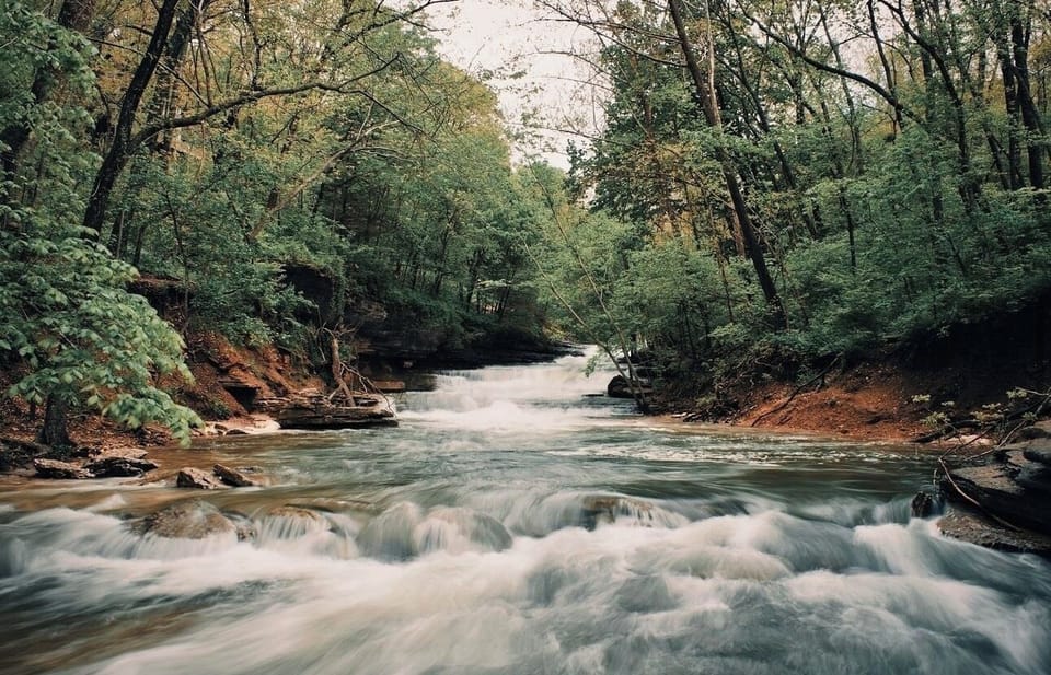 Tanyard Creek (after a heavy rain) in forest behind house