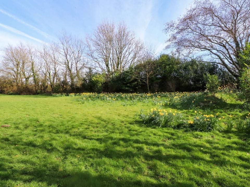 Cottage | Property grounds