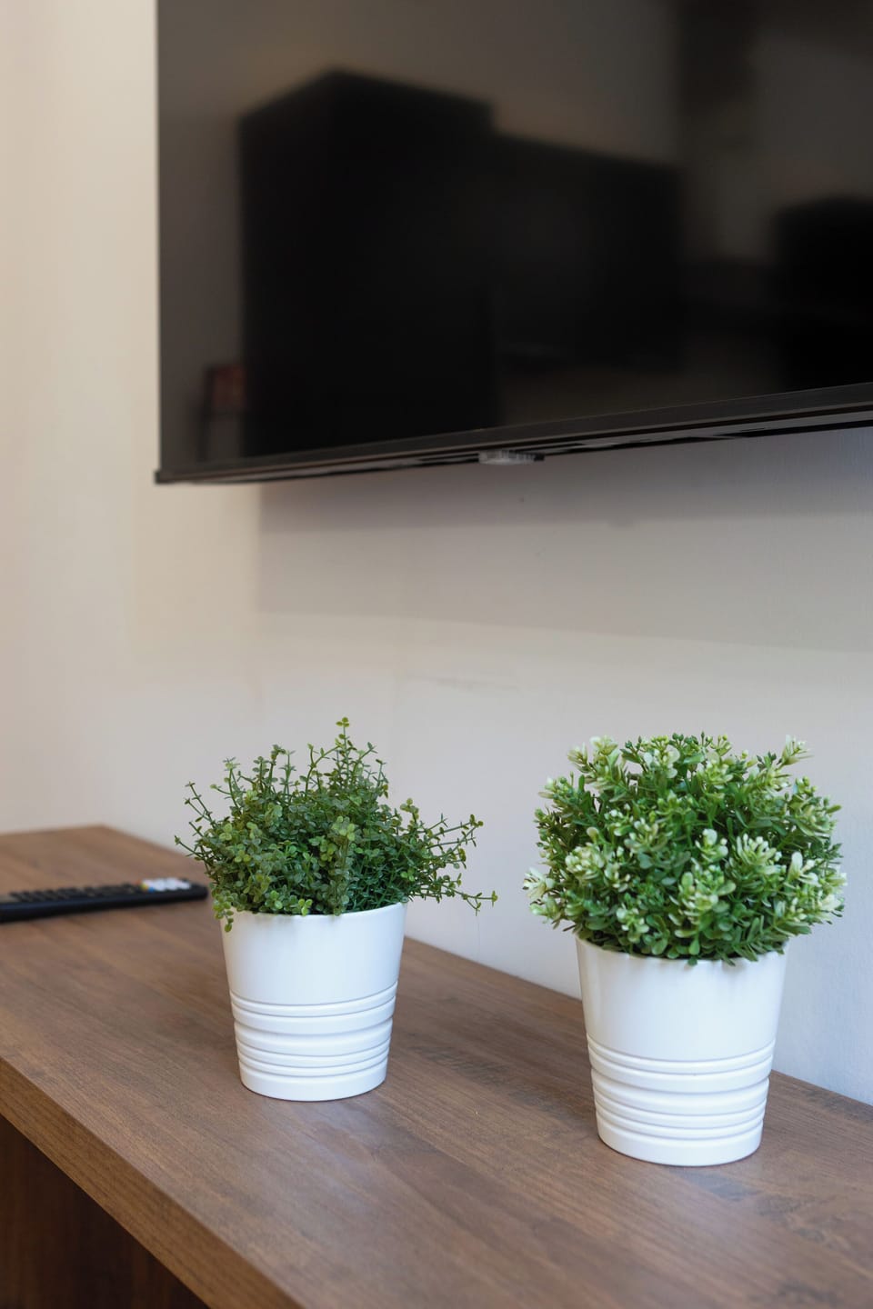 Apartment | Television