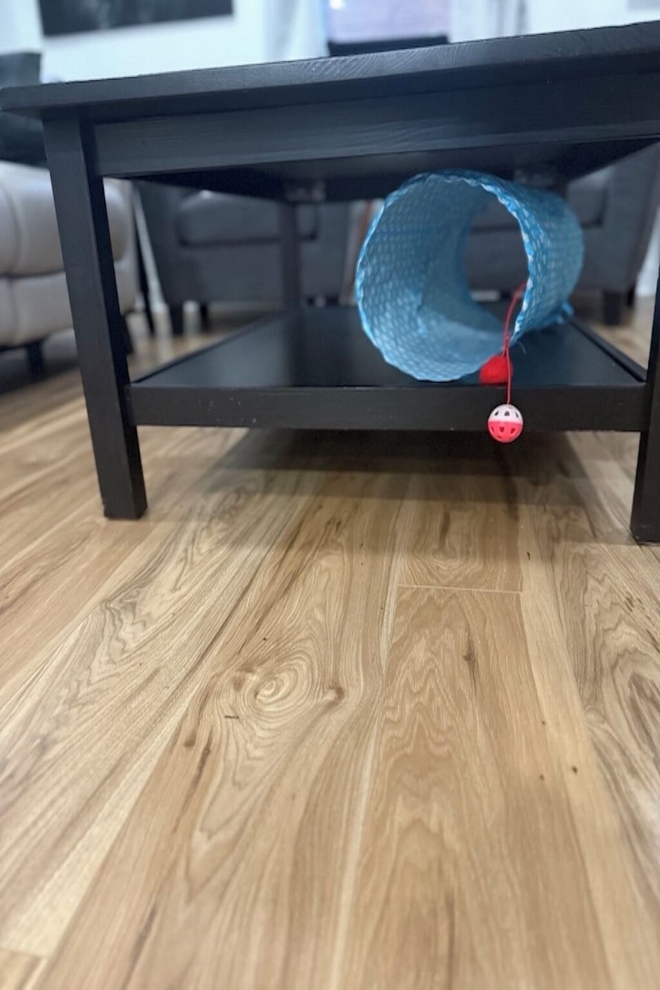 Pet-friendly
