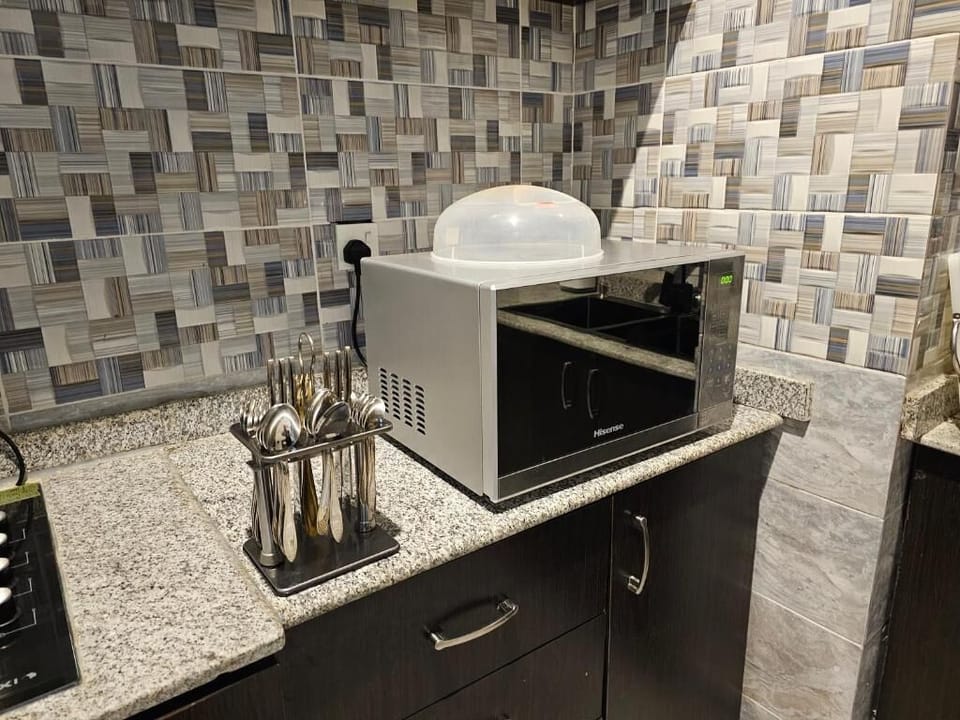 Economy Apartment, Balcony, City View | Private kitchen | Fridge, microwave, oven, stovetop