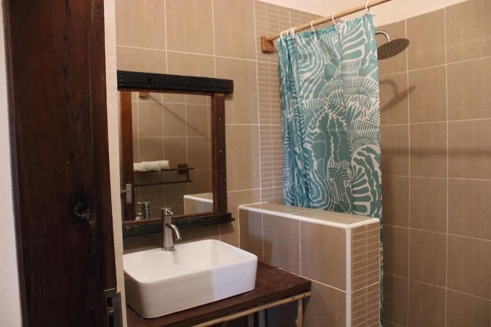 Shower, towels, toilet paper