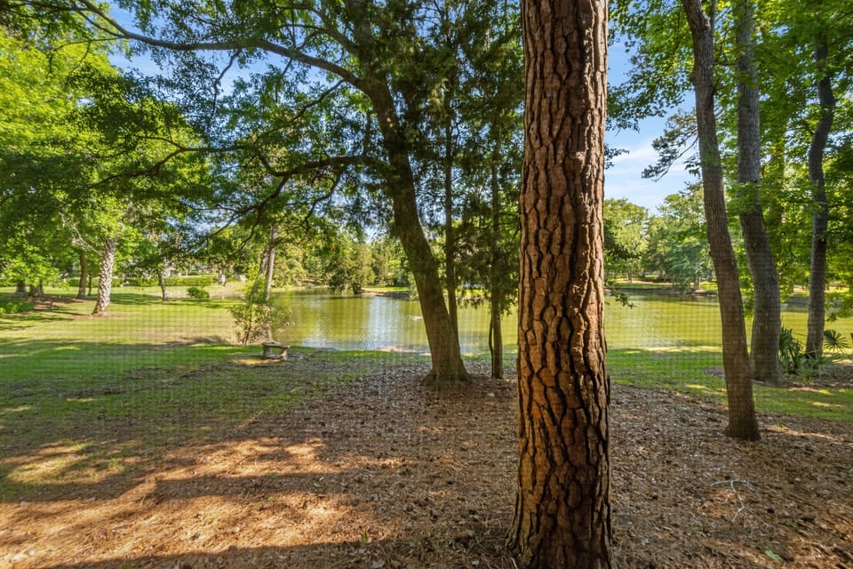 Kingston Plantation - beautiful green landscape