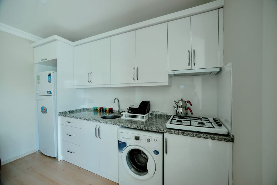 Basic Apartment, Sea View | Private kitchen | Full-size fridge