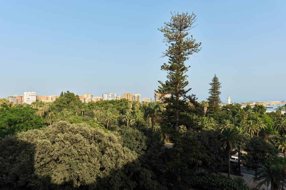 Deluxe Apartment, 1 Bedroom, Terrace, City View | View from room