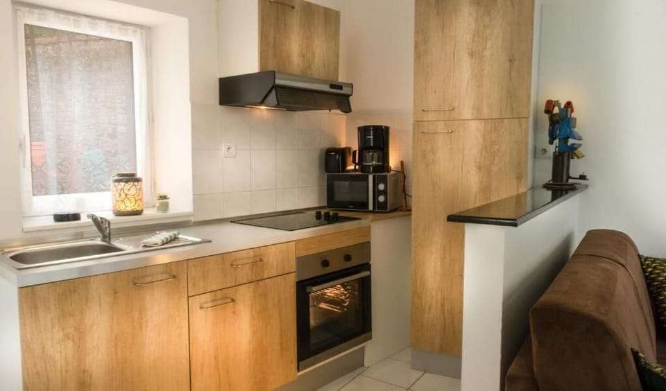 Family Studio Suite, Park View | Private kitchen