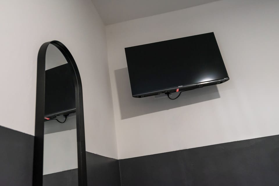 Television