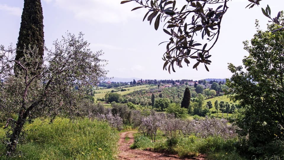 Cottage | Miscellaneous