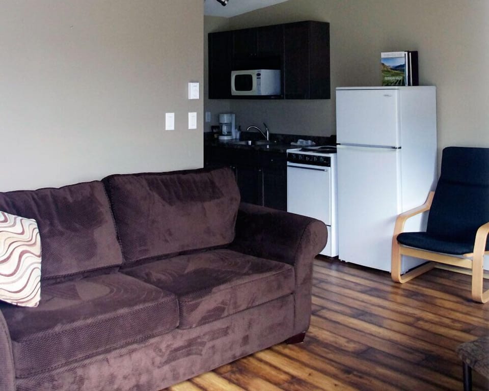 Standard Single Room, 1 Bedroom, Kitchen | Living area | 32-inch flat-screen TV with cable channels, TV