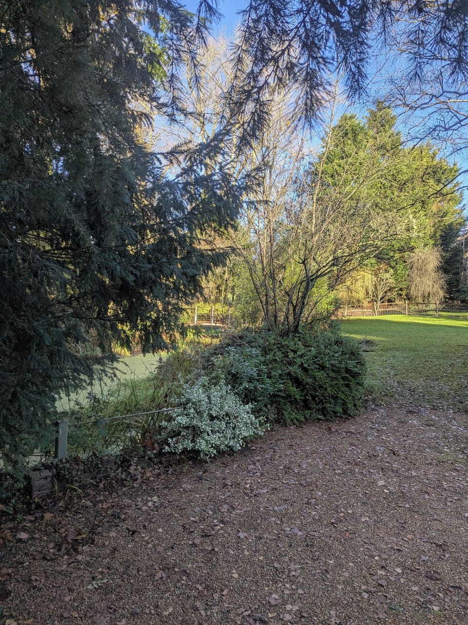 Property grounds