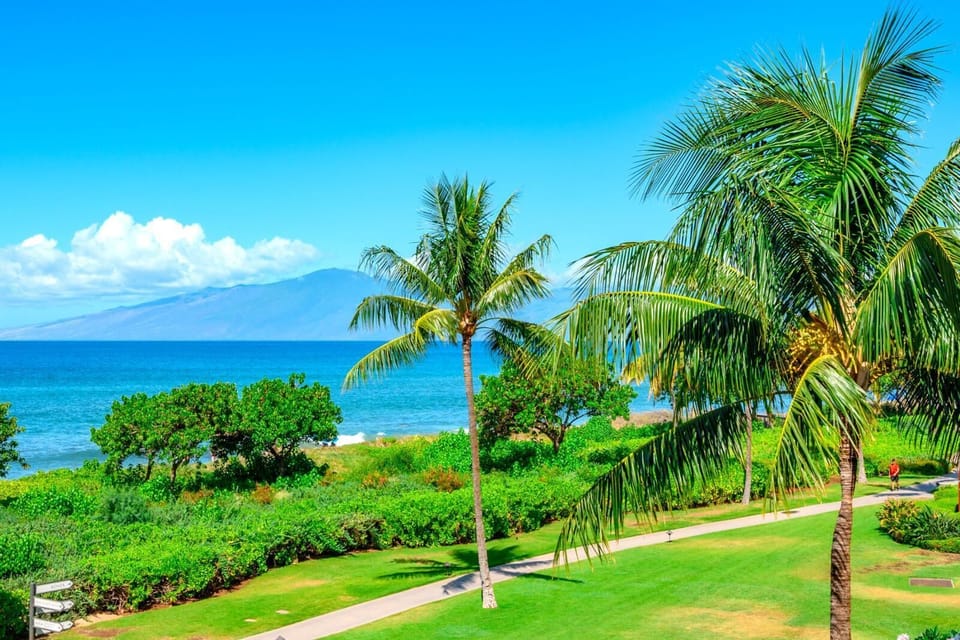 Lush green lawns, tropical palms, and endless ocean horizons create a serene, postcard-perfect Maui escape       HKH-201
