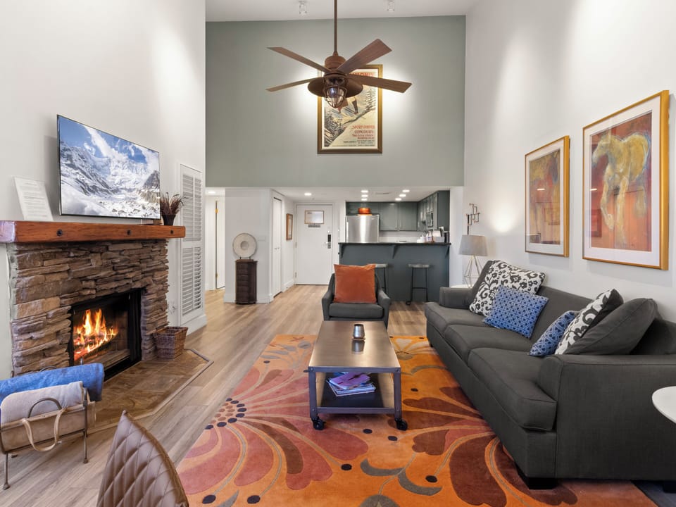 Living Area / Sofa Sleeper