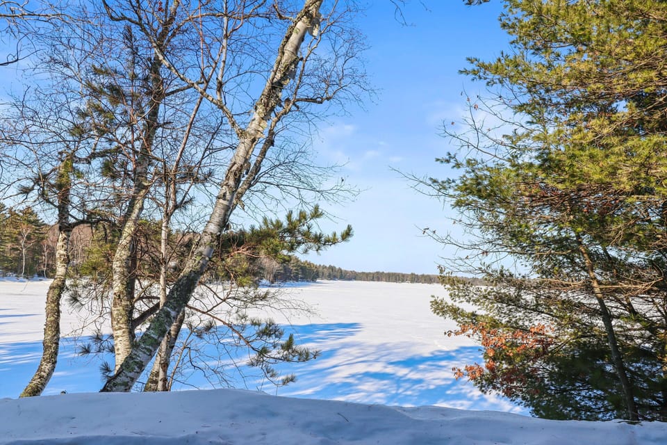 A view of a frozen, snow-covered lake seen through birch and evergreen trees.