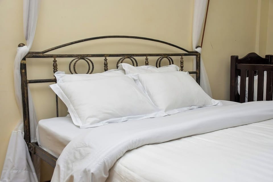 Deluxe Single Room, Garden View | Free WiFi, bed sheets