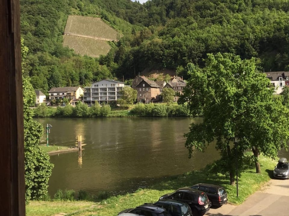 View from Holiday Home [summer]