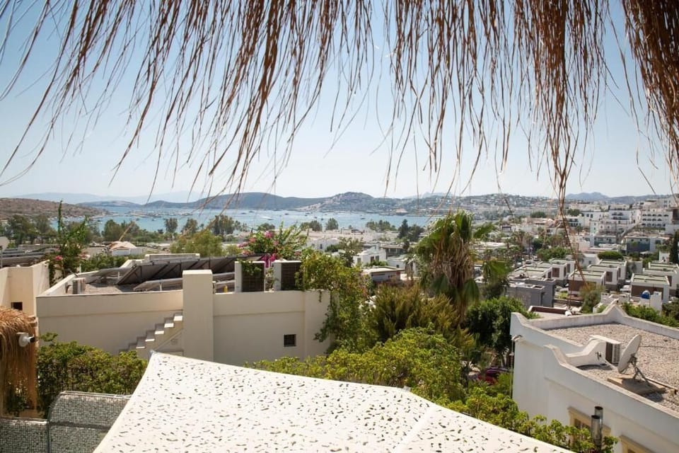 Comfort Villa, Sea View | View from property