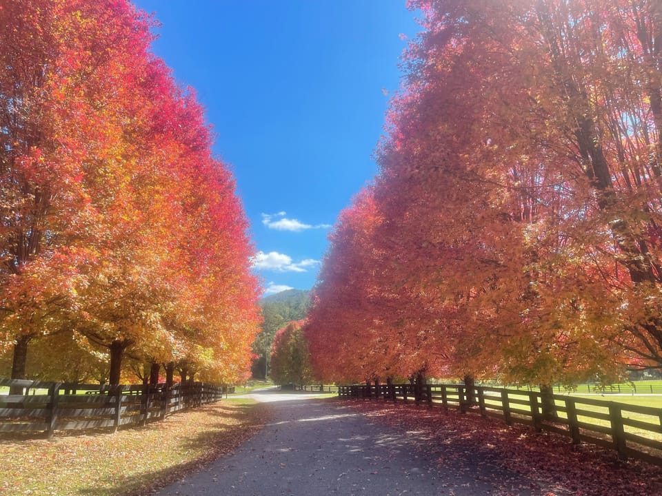 Entering The Reserve, approaching our neighborhood