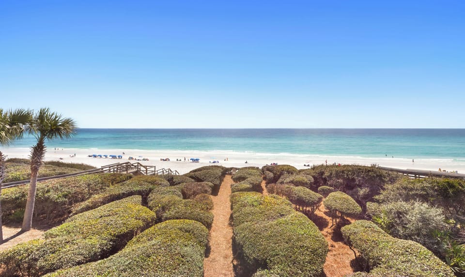 The landscaped dune is a rare feature along 30A.