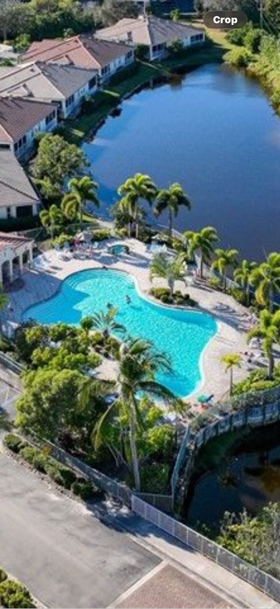 Large resort style pool and hot tub