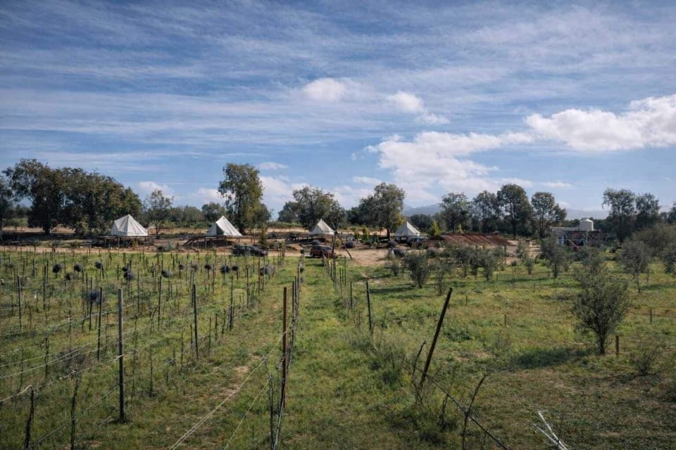 Classic Room, Vineyard View | Miscellaneous
