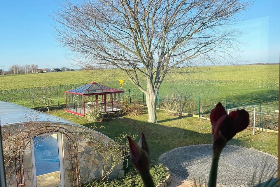 View from Holiday Home [summer]