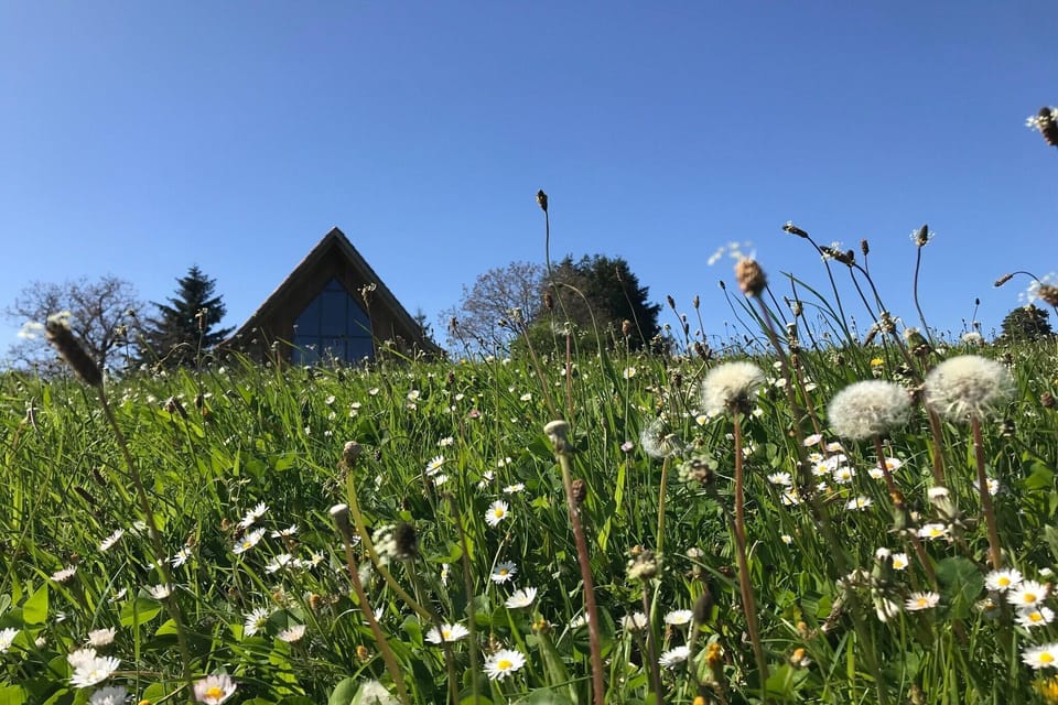 Garden [summer]