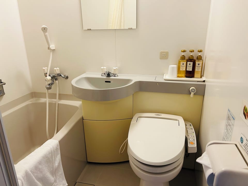 Single Room, Non Smoking | Bathroom | Hair dryer, towels, soap, shampoo