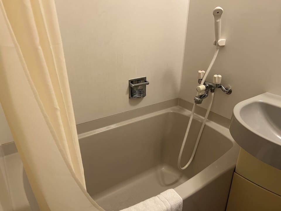 Single Room, Non Smoking | Bathroom | Hair dryer, towels, soap, shampoo