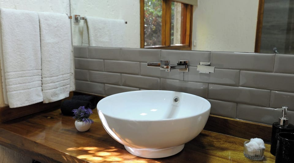 Deluxe Double or Twin Room | Bathroom | Free toiletries, hair dryer, towels
