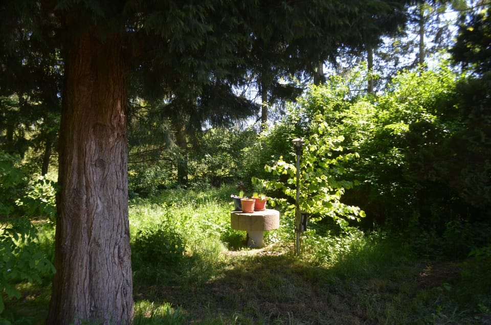 Apartment | Garden