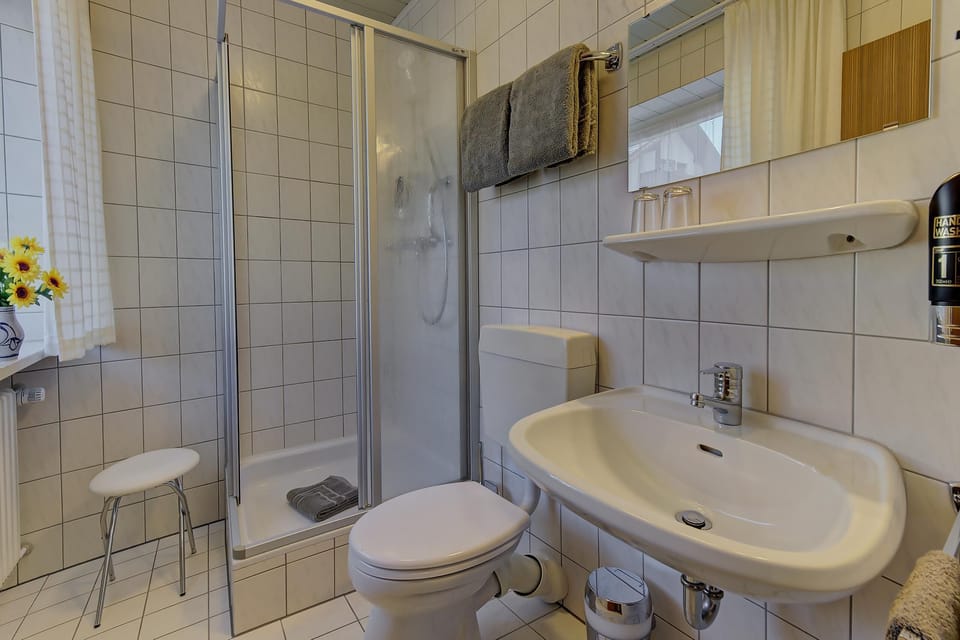 Single Room | Bathroom | Shower, hair dryer, towels, toilet paper