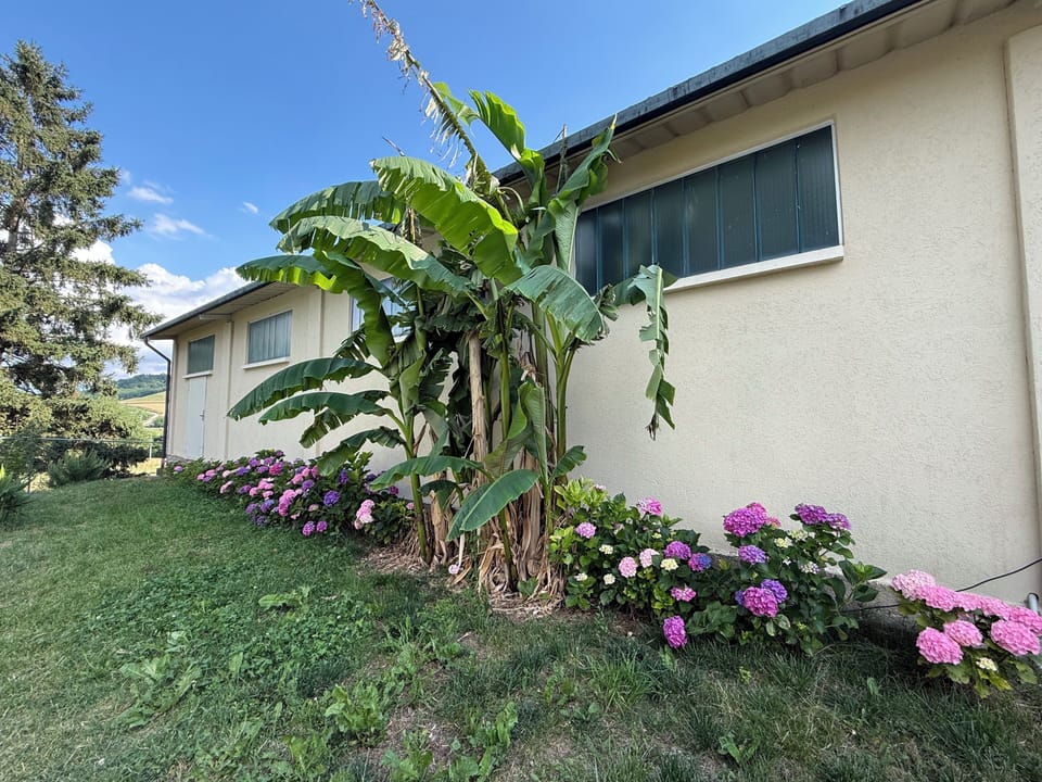 Apartment, 2 Bedrooms, Accessible, Balcony | Garden