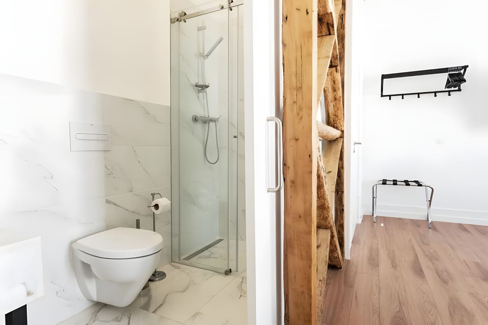 Deluxe Suite | Bathroom | Shower, free toiletries, hair dryer, towels