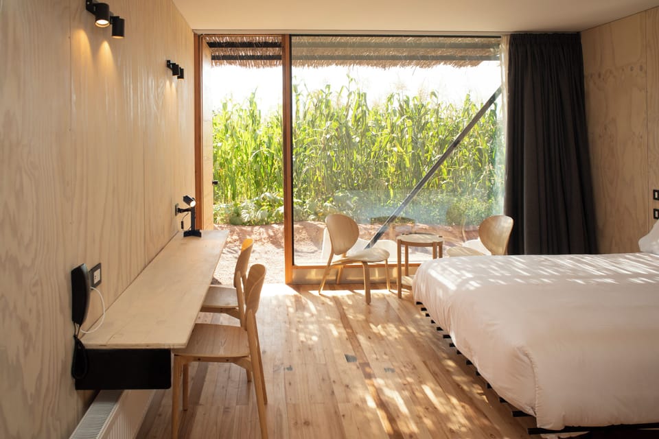 Superior Double or Twin Room, Patio, Garden View | In-room safe, desk, laptop workspace, iron/ironing board