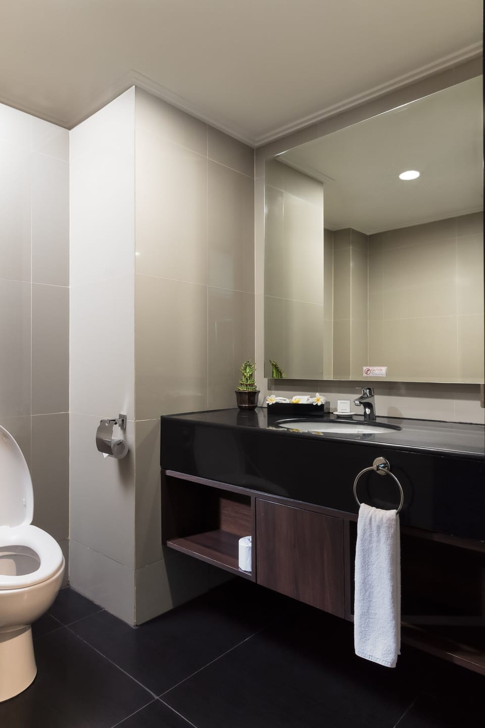 Shower, rainfall showerhead, hair dryer, slippers
