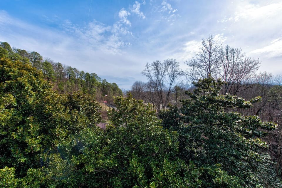 Scenic view showcases rolling hills and abundant greenery surrounding the property area.
