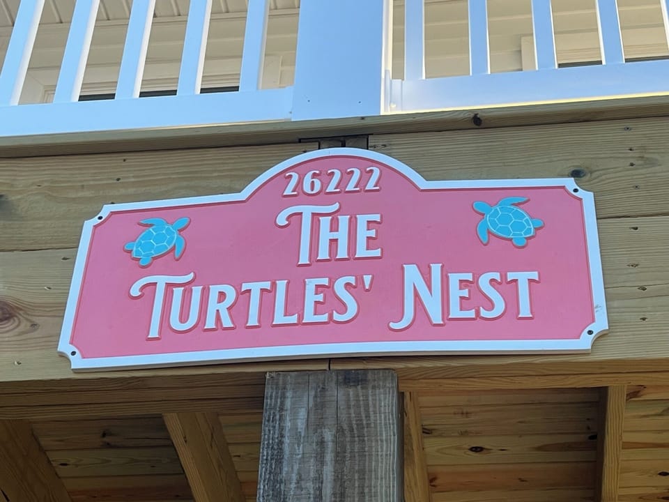 We love anything turtles! 